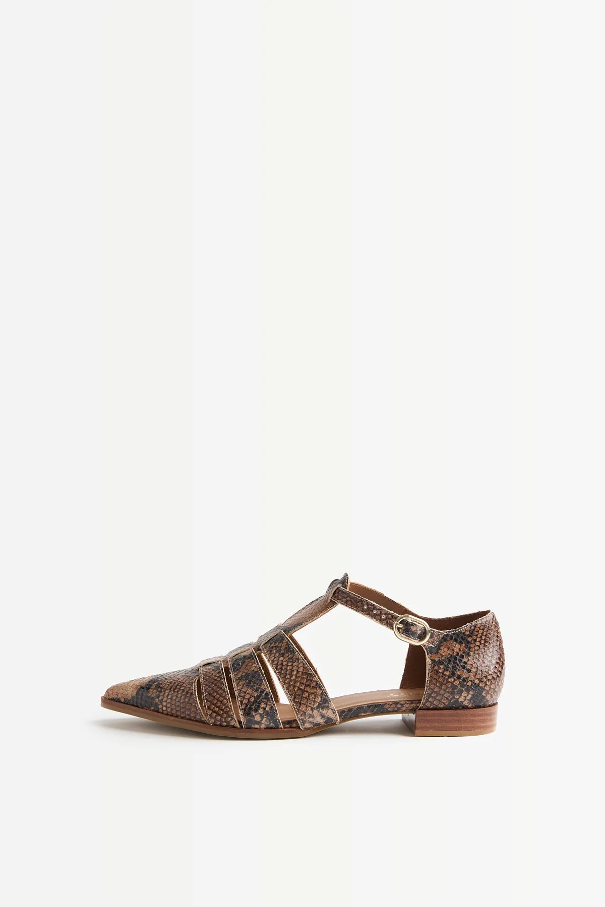 ZAPATO PUNTA PRINT