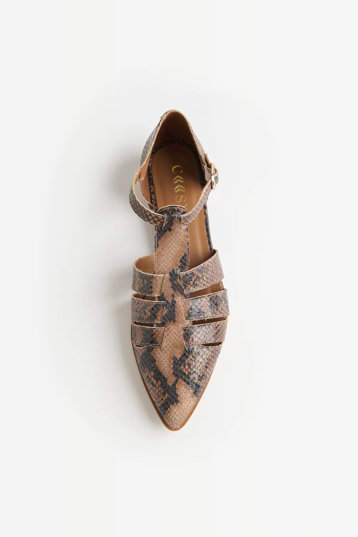 ZAPATO PUNTA PRINT